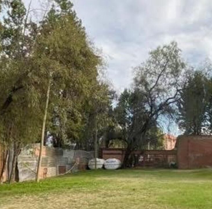 foto lote adela zamudio