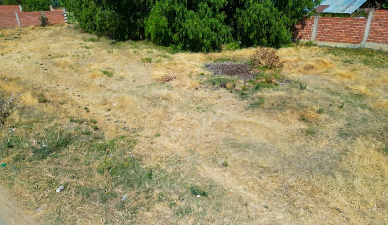 WhatsApp Image 2025-09-16 at 2.02.40 PM