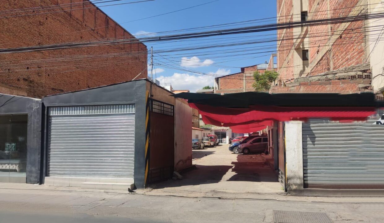 lote 25 mayo
